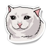 Telegram profile photo for Sadmeow 😿