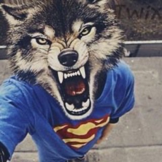 Telegram profile photo for Fuck society