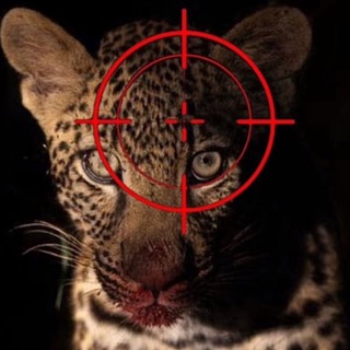 Telegram profile photo for Mariadoesntcry
