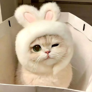Telegram profile photo for π
ππππππππππ πππππππ
