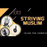 Telegram profile photo for Striving Muslim