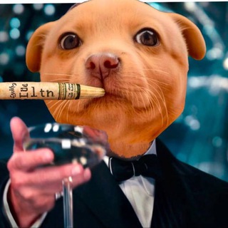 Telegram profile photo for $GOBBY DOG CTO