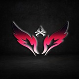 Telegram profile photo for VPN | Public504