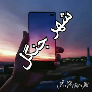 Telegram profile photo for شب های جنگل (کانال مردمی بخش جنگل) 🌹