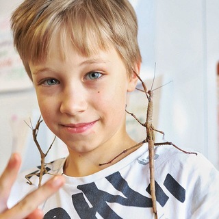 Telegram profile photo for Вова и палочницы💚