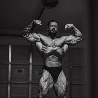 Telegram profile photo for Chris Bumstead