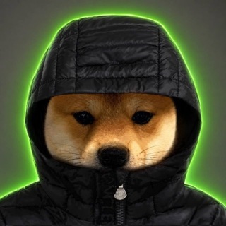 Telegram profile photo for dogwifhood_onsol