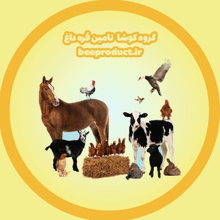 Telegram group profile photo for دامپروری (دام، طیور )کوشا تامین قره داغ
