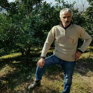 Telegram profile photo for کانال شمس حسینی