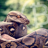 Telegram profile photo for Crypto Snake