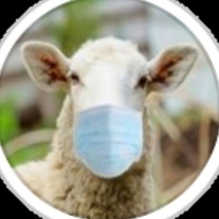 Telegram profile photo for Awakening Sheep