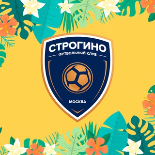 Telegram profile photo for ФК «Строгино»