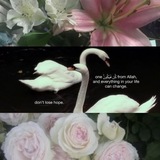 Telegram profile photo for المُصْحَف - The Quran
