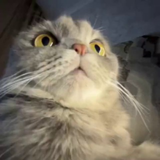 Telegram profile photo for анрип канал