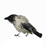 Telegram profile photo for Санины каракули