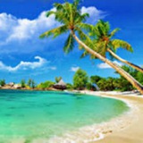 Telegram profile photo for Phan Thiet