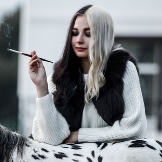 Telegram profile photo for TIMOSHA
