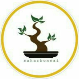 Telegram profile photo for Saharbonsai