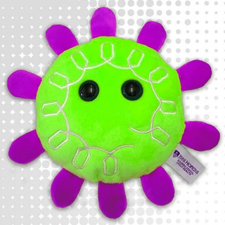 Telegram profile photo for SARS-CoV-STAT-INT