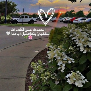 Telegram profile photo for ذِکْر آلَلَهّ حًيَآةّ آلَقُلَوٌبً🌷