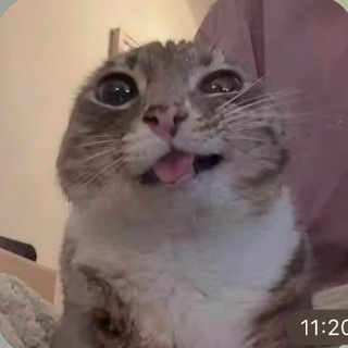 Telegram profile photo for мира слава🧿