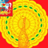Telegram profile photo for Серпухов Инфо 🦚