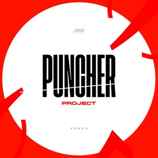 Telegram profile photo for PUNCHER SCRIMS