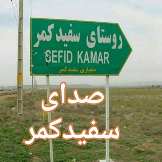 Telegram profile photo for 🌹صدای سفیدکمر 🌹