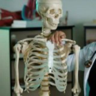 Telegram profile photo for MBBS All BOOKS NOTES