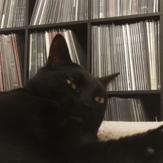 Telegram profile photo for BLACK WAX STORE