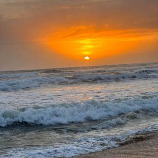 Telegram profile photo for The Earth - Rino Mariyam