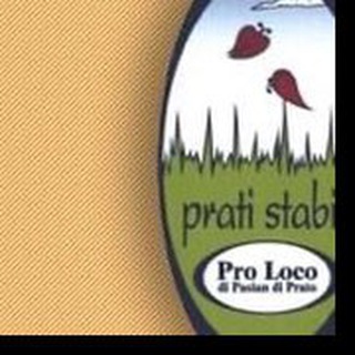 Telegram profile photo for Pro Loco di Pasian di Prato APS