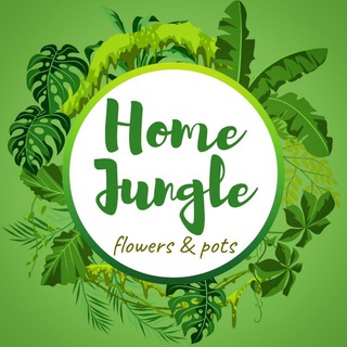 Telegram profile photo for Homejungle_uz