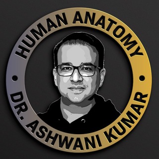 Telegram profile photo for ANATOMY BY DR ASHWANI KUMAR