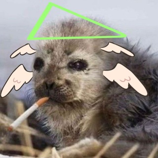 Telegram profile photo for Блюха крутая