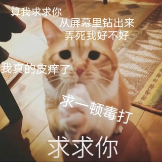 Telegram profile photo for 梨园春