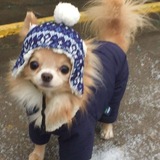 Telegram profile photo for резы чичи