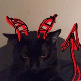Telegram profile photo for мышьяк