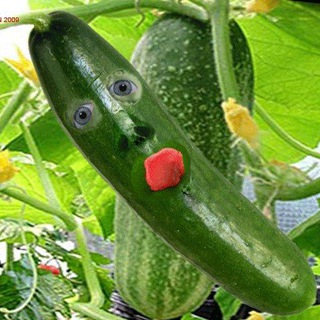 Telegram profile photo for кабачковый
