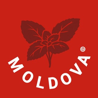Telegram profile photo for 🇲🇩🇺🇦 Moldova Молдова