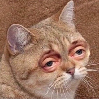 Telegram profile photo for Севодня не среошь