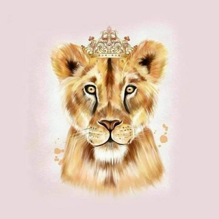 Telegram profile photo for لبوة آ̀لش̀́م̀ر̀ي ꕤ