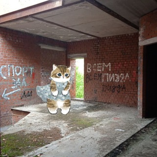 Telegram profile photo for Д᧐ⲙ 𐌲᧐ᥴᥰ᧐жᥙ 𐌡ᥙ