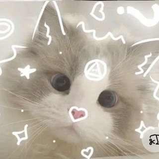 Telegram profile photo for *♪Queеn girl♪*