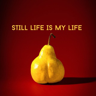 Telegram profile photo for Still life is my life