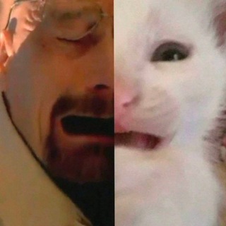 Telegram profile photo for Здесь живёт Сасан