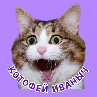Telegram profile photo for КОТОФЕЙ💜ИВАНЫЧ