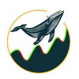 Telegram profile photo for Whale Binary