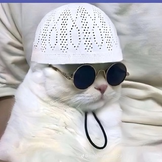 Telegram profile photo for Itz_binar_groupchat