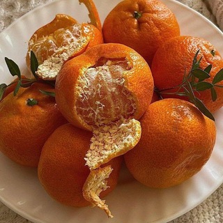 Telegram profile photo for ناࢪنگیــــے🍊